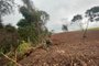 Polícia flagra mais de 6,7 hectares de desmatamento entre Rodeio Bonito e Cristal do Sul<!-- NICAID(15712071) -->
