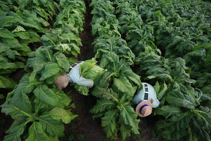 Tadeu Vilani / Agencia RBS Tadeu Vilani / Agencia RBS