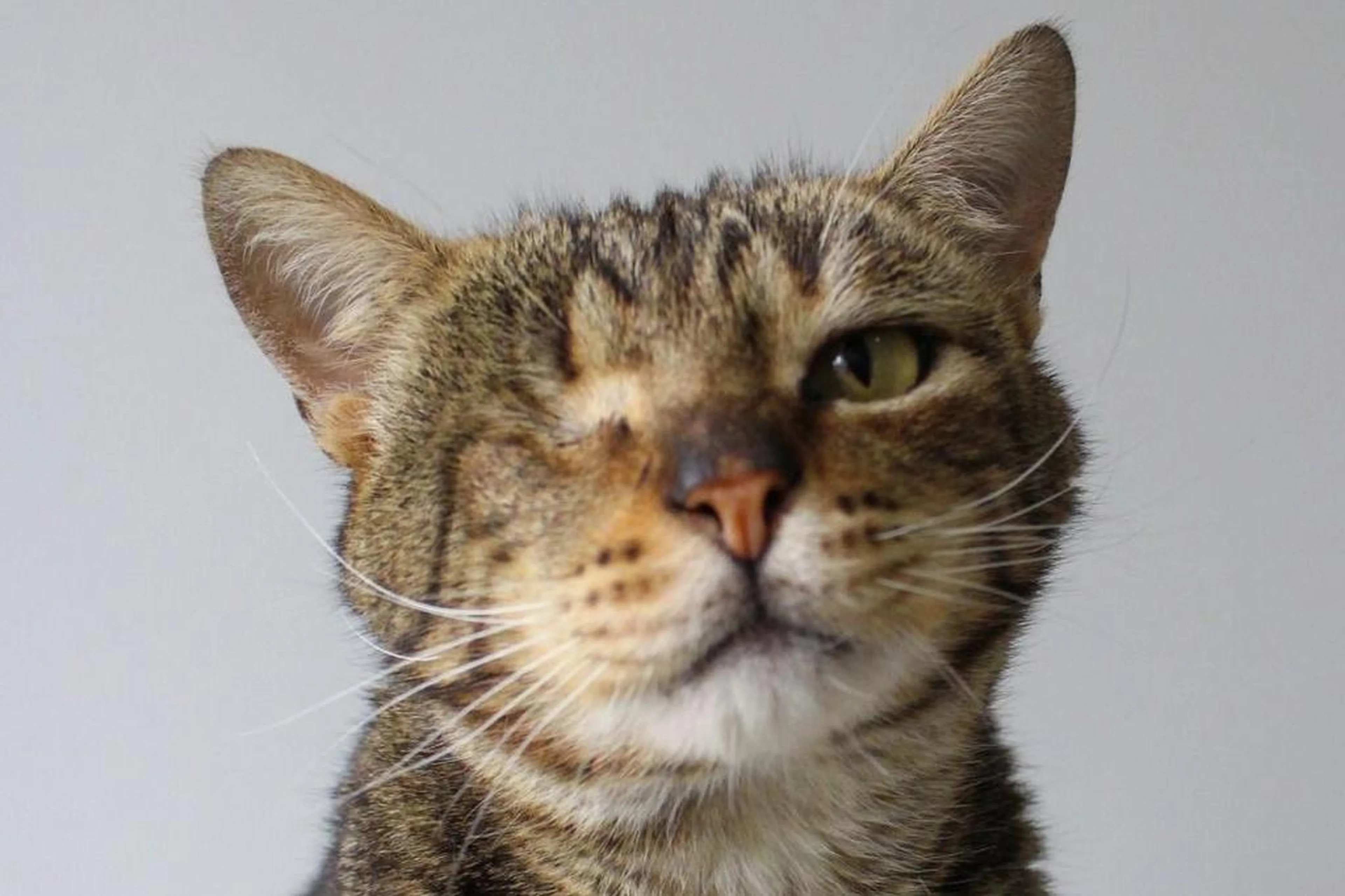 Dhuane Busatto/Arquivo pessoal