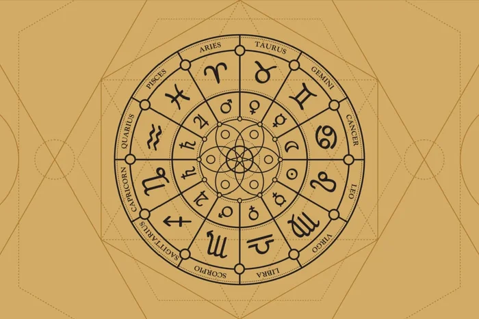 alekksart / Shutterstock | Portal EdiCase alekksart / Shutterstock | Portal EdiCase