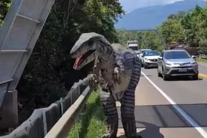 Dino e a passarela para anfíbios na Rota do Sol<!-- NICAID(14991503) -->