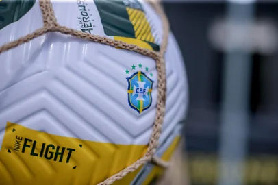 Brasileirão Feminino<!-- NICAID(15117826) -->