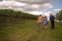 Vinícola Aurora amplia a oferta turísticas e lança o Wine Walk. Experiência ocorre em meio aos vinhedos de Pinto Bandeira.<!-- NICAID(14962357) -->