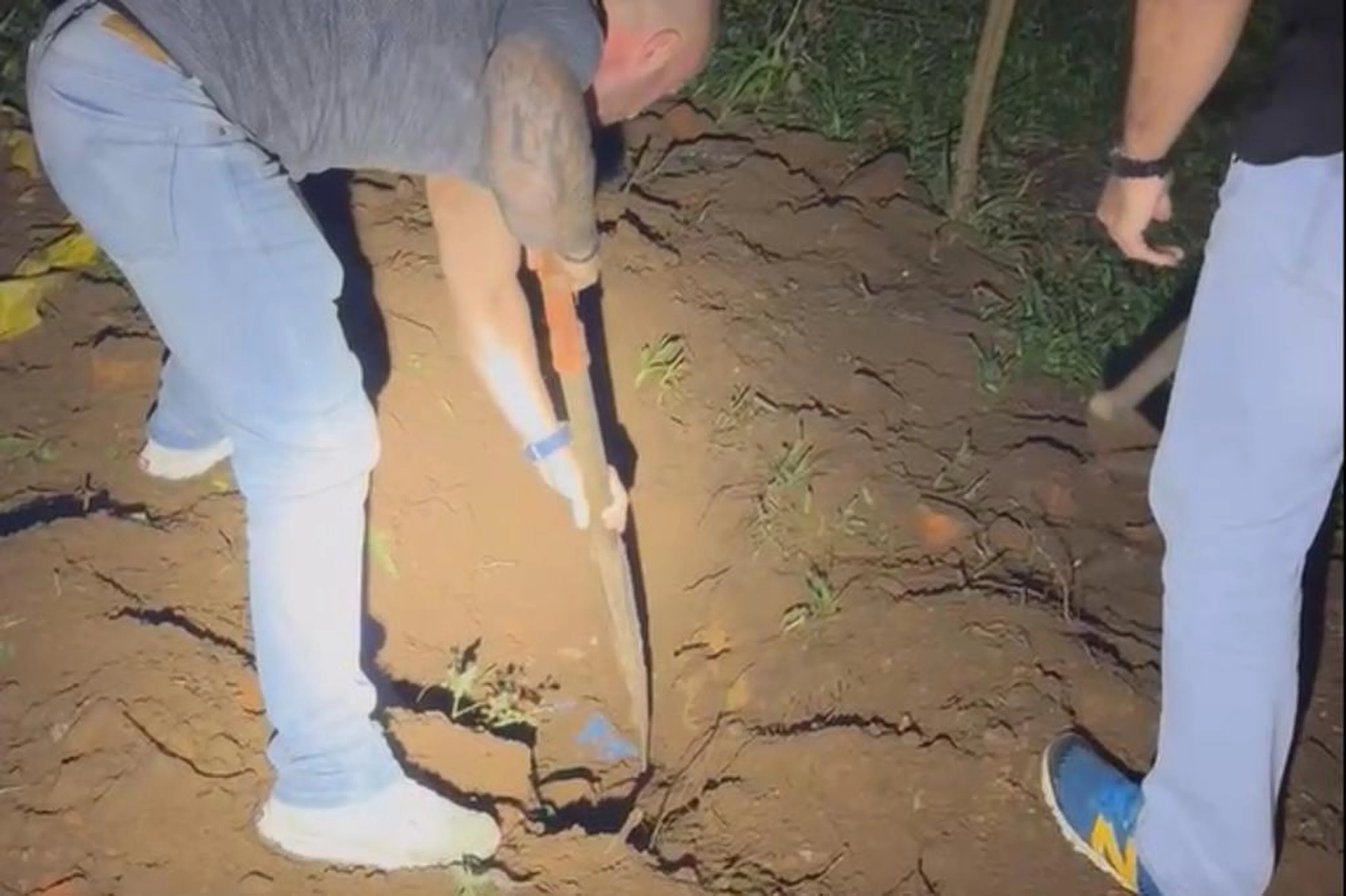 Polícia Civil/Divulgação