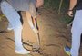 Polícia Civil descobre esconderijo do tráfico e desenterra maconha nos fundos de sítio em São Leopoldo