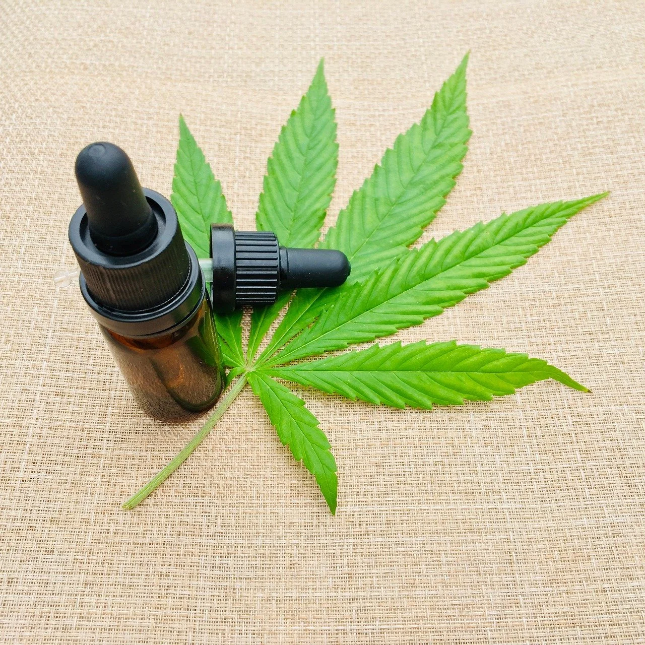 CBD-Infos-com/Pixabay