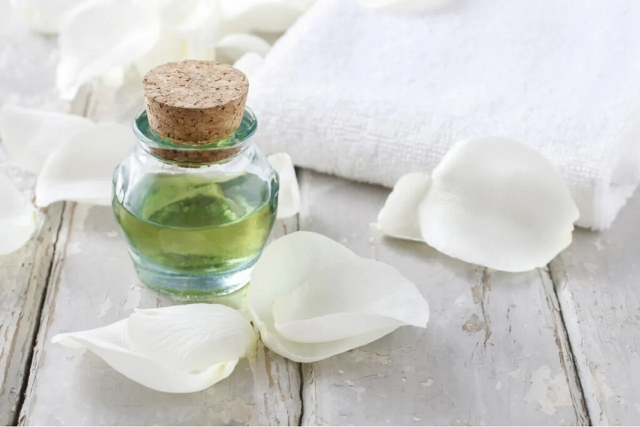 Agnes Kantaruk/Shutterstock | Portal EdiCase