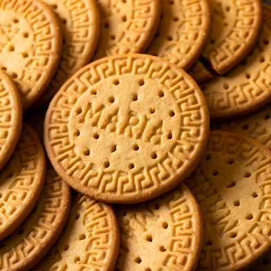 Close up of Marie biscuits. Modern cookies concept. Fonte: 388194306<!-- NICAID(15736288) -->