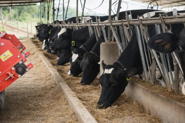 Reprodução / RBSTV