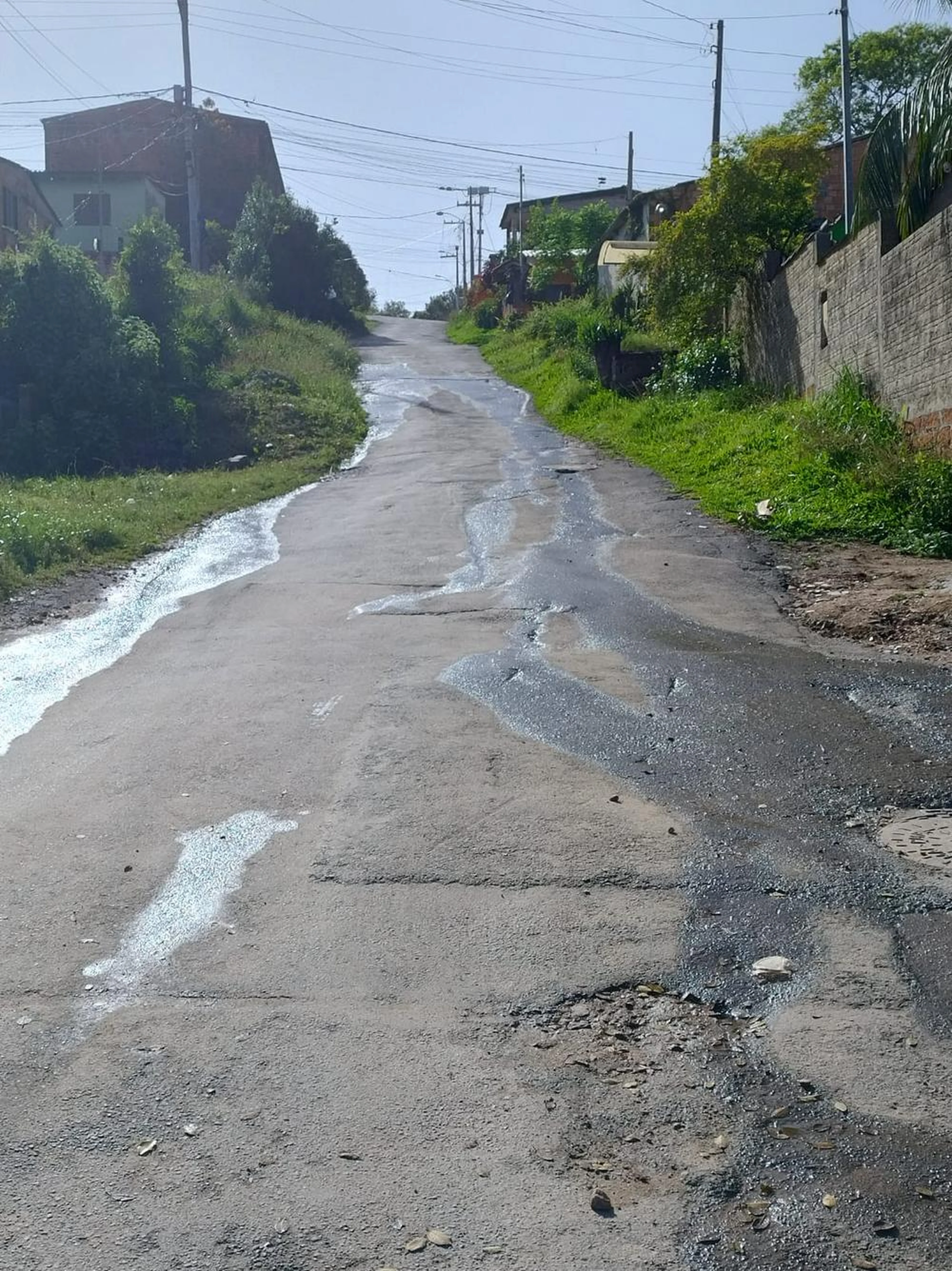 Arquivo pessoal/Reprodução