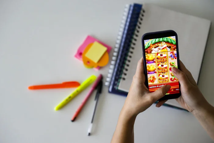 Camila Hermes / Agencia RBS