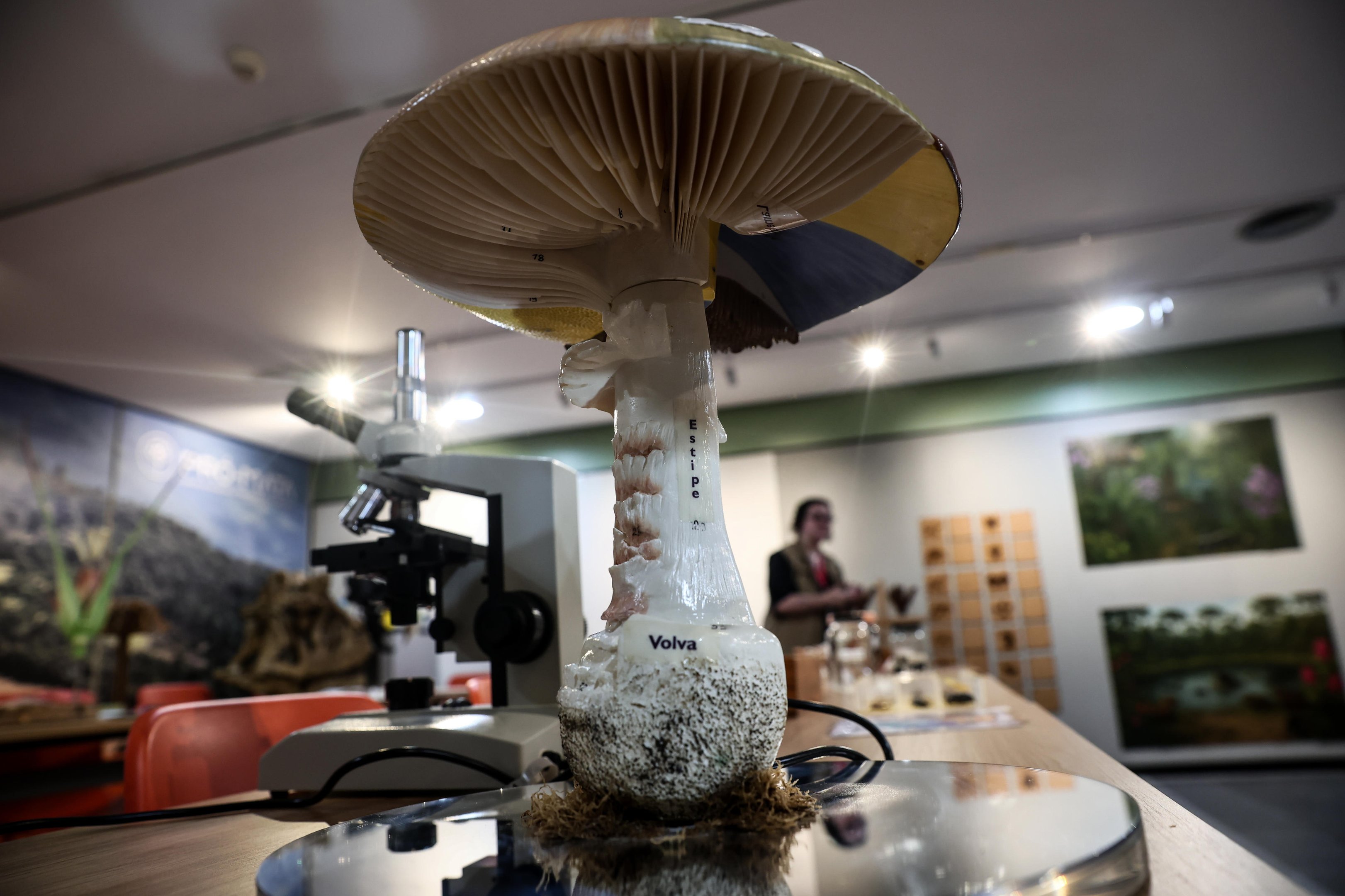 Férias não desligam o cérebro : como aproveitar o descanso e continuar fortalecendo o aprendizado