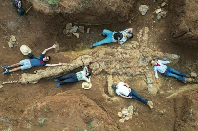 Um grupo de palentólogos descobriu em Queensland, na Austrália, os fósseis de um elasmossauro, um réptil pré-histórico que viveu até o Cretáceo Superior e se extinguiu pouco antes da extinção dos dinossauros.<!-- NICAID(15290637) -->