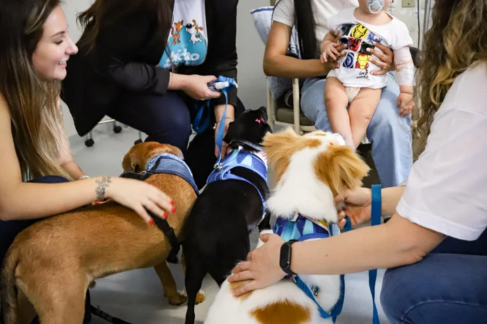 Cristine Rochol / PMPA / Divulgação