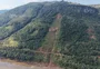 Após dois anos de chuva intensa, pesquisadores observam avanço na regeneração natural em áreas atingidas por deslizamentos