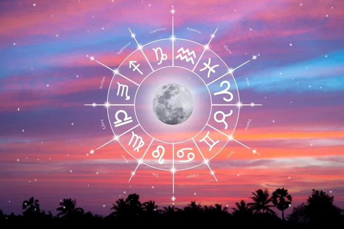 Sudarat Thaneerat / Shutterstock</div>
<div> | Portal EdiCase