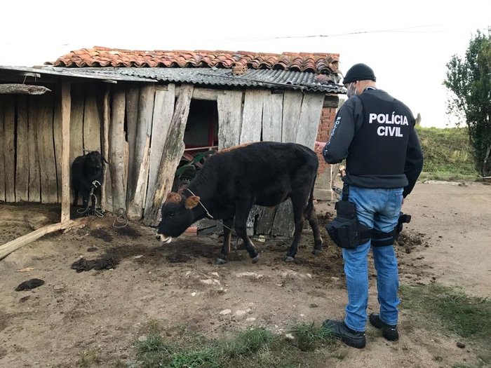 Divulgação Divulgação