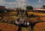 Feira do agro no Paraná bate recorde em vendas