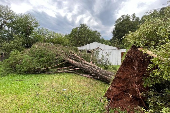 Matheus Klassmann/Prefeitura de Harmonia / Divulgação