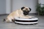 a pug dog lies or sits on a robot vacuum cleanerFonte: 459669034<!-- NICAID(15054333) -->
