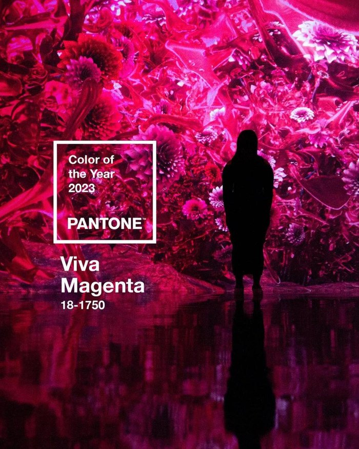 Viva Magenta: como usar a cor do ano 2023 pela Pantone