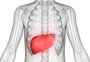 Entenda o que é adenovírus, agente que pode ser causador da hepatite infantil de origem ainda desconhecida