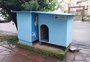 JustiÃ§a decide que sejam mantidas casinhas para cÃ£es comunitÃ¡rios em rua de Porto Alegre