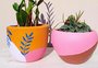 De vasos diferentões a tapete para plantio: uma seleção de itens para os plantlovers
