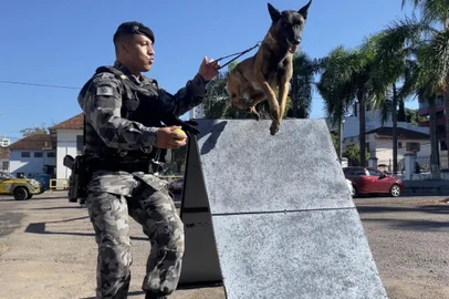 Como cães se tornaram peça fundamental no trabalho da polícia<!-- NICAID(15705825) -->