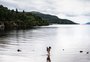 Com seca na Escócia, Lago Ness chega a seu nível mais baixo em décadas