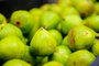 CAXIAS DO SUL, RS, BRASIL, 25/01/24. Legenda: Safra do figo será menor em 2024. Fruteiras ainda recebem pouca fruta. (Neimar De Cesero/Agência RBS)<!-- NICAID(15660455) -->