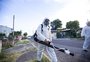 Brasil ultrapassa 500 mil casos prováveis de dengue em 2024; RS já registrou mais de 5 mil