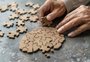 Antes dos 60 anos: conheça os sinais do cérebro que podem ajudar na prevenção de doenças como o Alzheimer