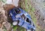 Homem morre em acidente na RS-324, em Casca