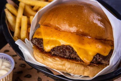 hamburger, rio de janeiro, destemperados, lanche<!-- NICAID(15279900) -->