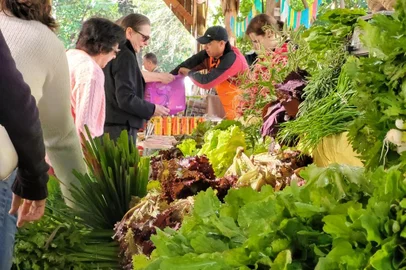 Feira Ecológica do Menino Deus comemora 29 anos na expectativa de sua continuidade<!-- NICAID(15454811) -->