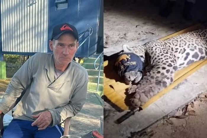 Instagram / @corujaodamadrugadams / Reprodução; Polícia Militar Ambiental / Divulgação Instagram / @corujaodamadrugadams / Reprodução; Polícia Militar Ambiental / Divulgação