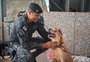O agradecimento do cão desabrigado ao PM que levou ração a abrigo
