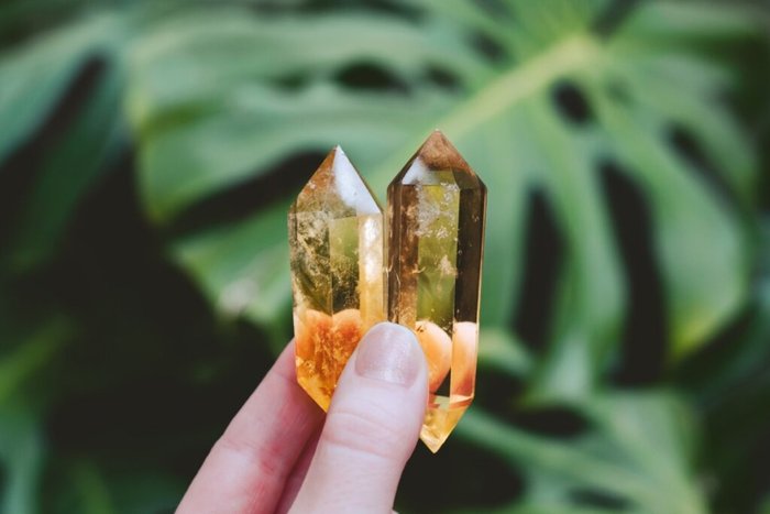 eloresnorwood / Shutterstock | Portal EdiCase