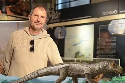 Cientistas nomeiam gênero do Triássico (Schultzsuchus ) em homenagem a pesquisador gaúcho. - UFRGS/Reprodução<!-- NICAID(15690388) -->