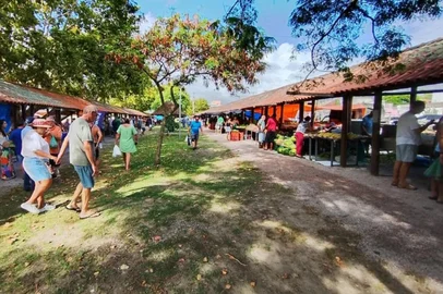 feira do produtor do Balneário Cassino<!-- NICAID(16385545) -->