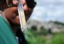 Projeto da UFRGS com  inteligência artificial identifica mosquito da dengue pelo batimento das asas