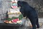 Zoológico de Sapucaia do Sul comemora 59 anos neste sábado, 1º de maio. Está reaberto à visitação do público desde ontem, depois de dois meses fechado. Na foto, a ursa Sara na comemoração organizada pelos funcionários.Fotógrafo: Tais Bortolli<!-- NICAID(14771785) -->
