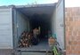 Idoso é resgatado de situação análoga à escravidão em Pelotas