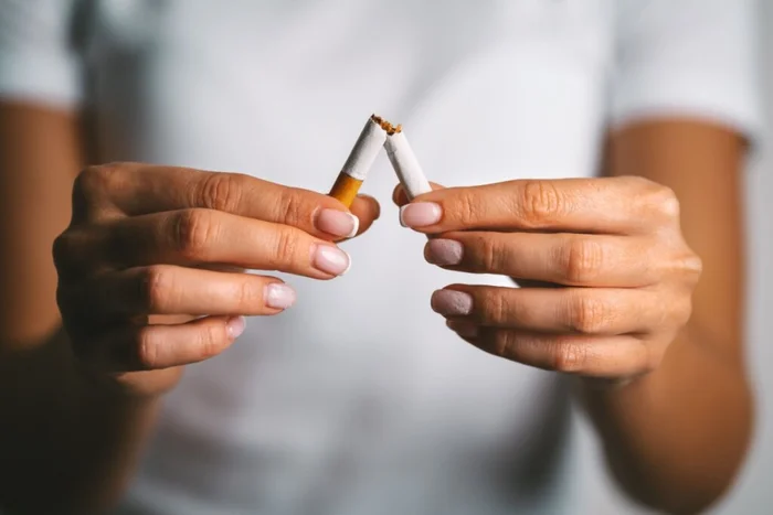 Kulkova Daria / Shutterstock | Portal EdiCase