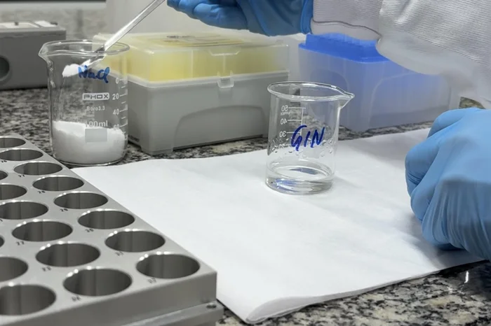 Júlia Taube / Agencia RBS