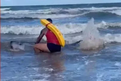 Baleia morre após encalhar em praia no Litoral Sul do RS<!-- NICAID(15944088) -->