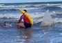 Baleia morre após encalhar em praia no litoral sul do RS