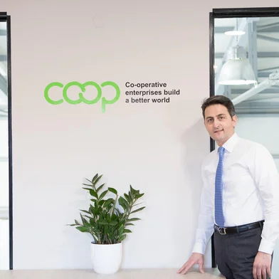 Cooperativa Stevia Hellas produz estévia em áreas que eram de cultivo de tabaco na Grécia<!-- NICAID(15290938) -->