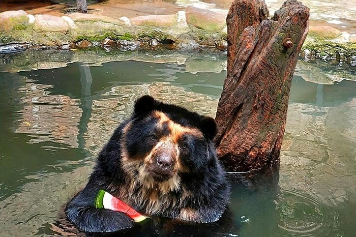 Parque Zoológico / Divulgação